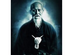 Affiche O Sensei