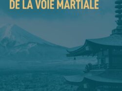 Critique de la voie martiale