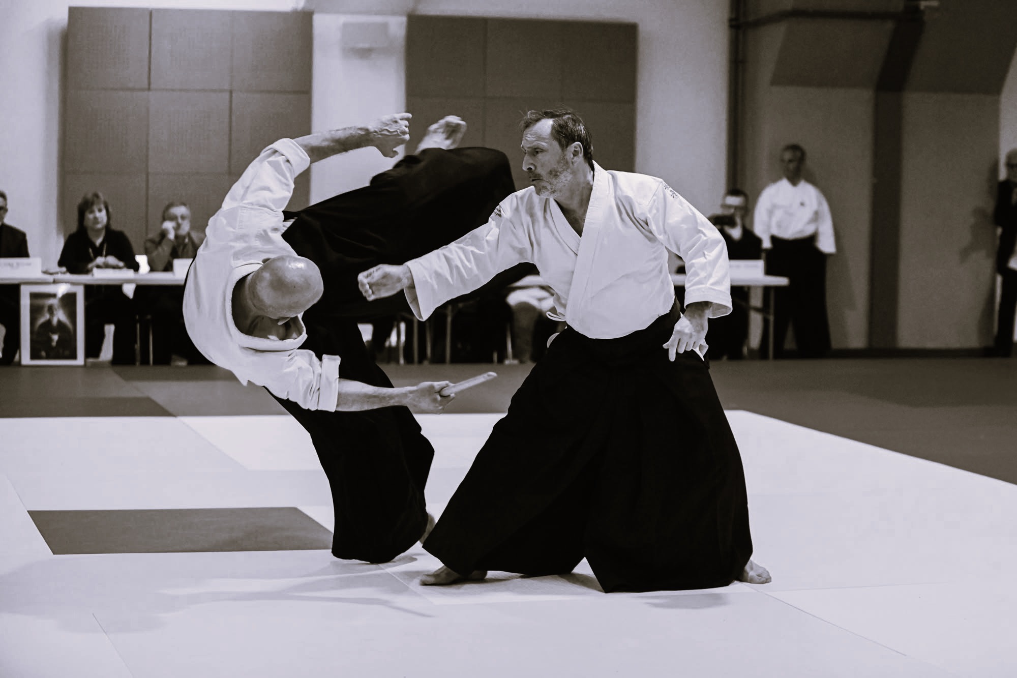 Pratique du Takemusu Aïki